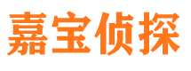 子洲侦探公司